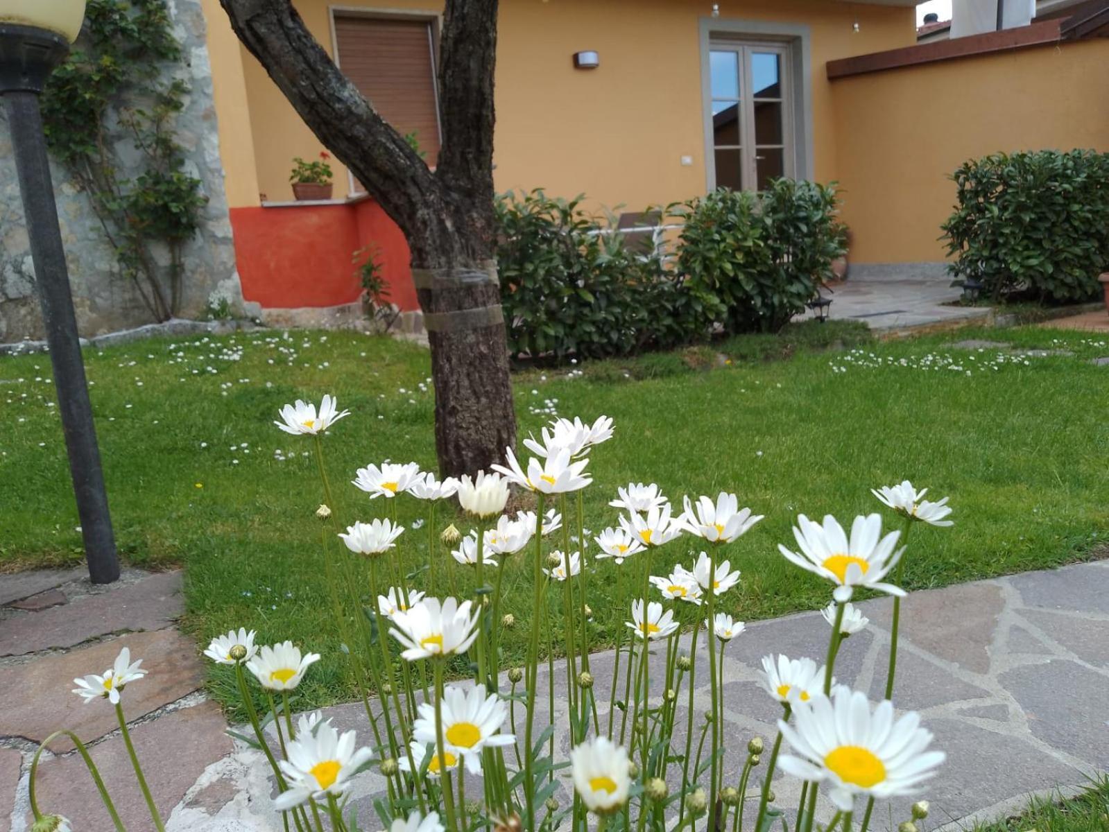 Le Sette Fontane Hotel Barga Exterior photo